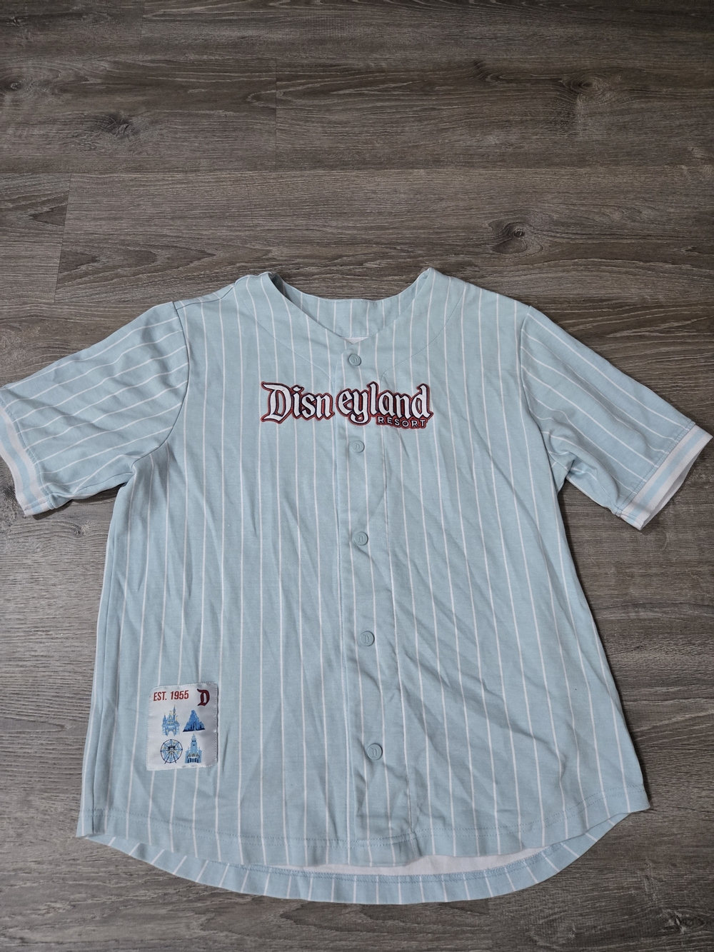 Disney Disneyland Resort Jersey Shirt Womens L Pinstripe Button Front